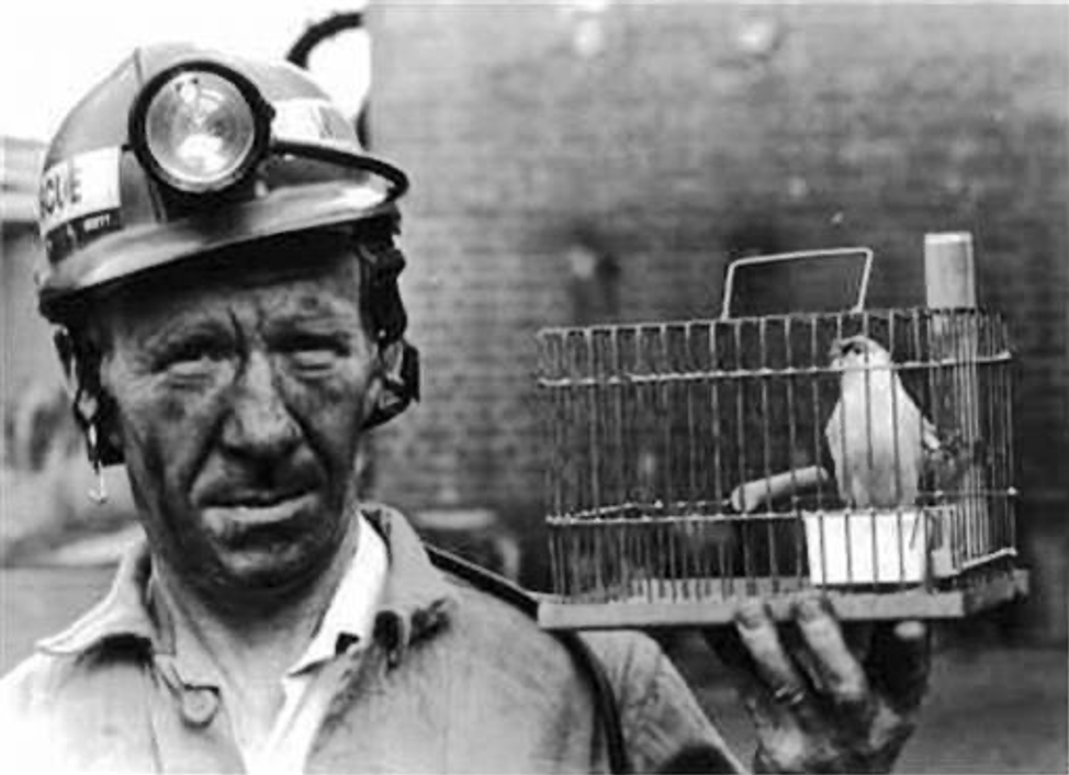 Black & white photo of a coal miner and a canary